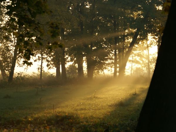 Jesień w parku w Buntowie