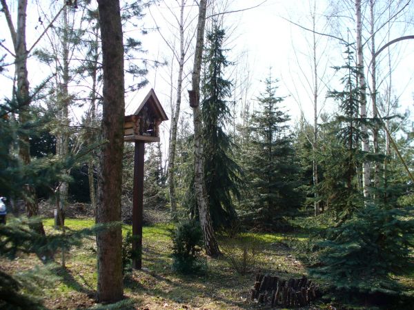 Polecam piękną miejscowość. Okolica spokojna, urokliwa, idealna do zamieszkania w ciszy spokoju i otoczeniu zieleni, ptaków i zwierząt.