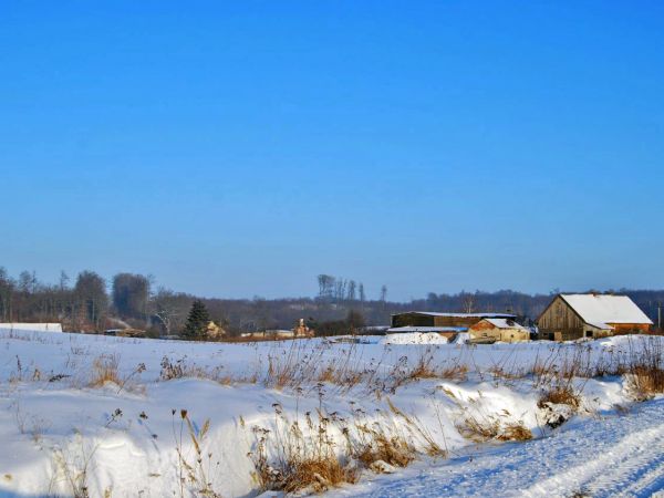 Olszówka/Olszak/ - krajobraz zimowy