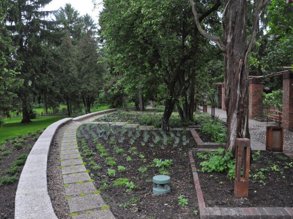 Żelazowa Wola, Park.