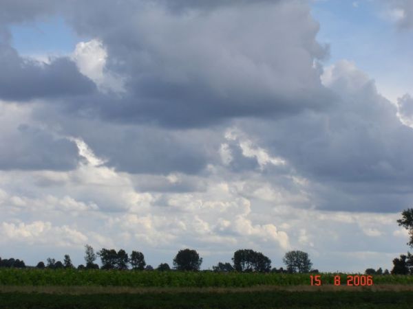 zdjecie Gruszka Mała Pierwsza