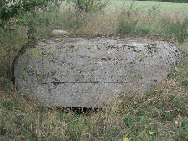 Schron nr 5. Obserwacyjno - bojowy. Położony na skraju lasu i pola, przy dwóch dużych drzewach. Niedaleko pobliskich budynków PGR Dobieszew(k)o. Widok od strony