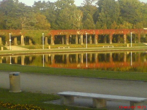 Pergola k/hali