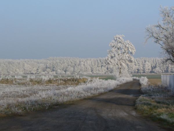 Piękny krajobraz po przymrozkach..