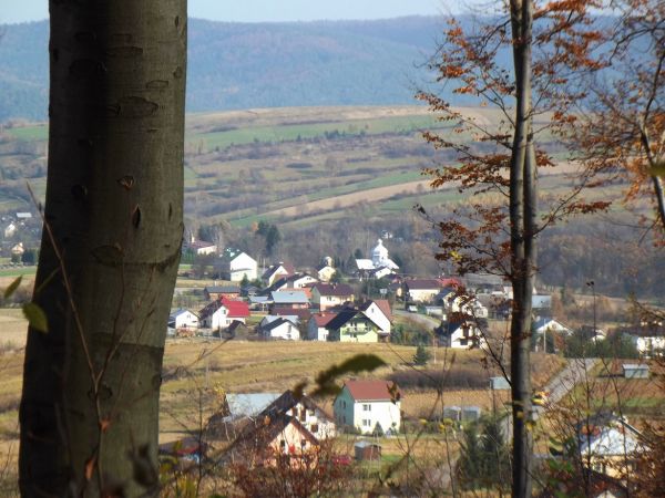 tu przy lesie kiedyś była osobna wieś Sossne - no bo czytamy: "w 1504r.  Rafał z Humnisk zastawia Januszowi Siemuszowskiemu za dług kmieci we wsi Końskie osiadł