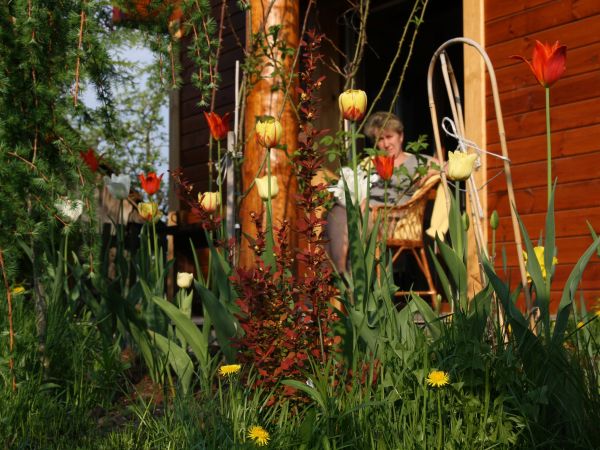 zdjecie Tyniewicze Duże