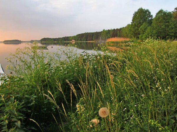 Nad jeziorem Wdzydze wiosną 2016