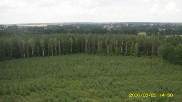 Osieczna - widok z Jagody