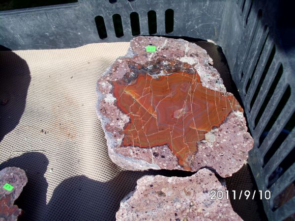 Zdjęcia Nowy Kościół