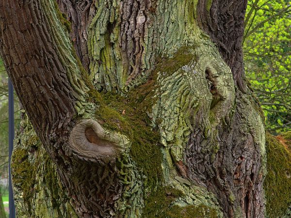 Żmigród - Zespół pałacowo - parkowy