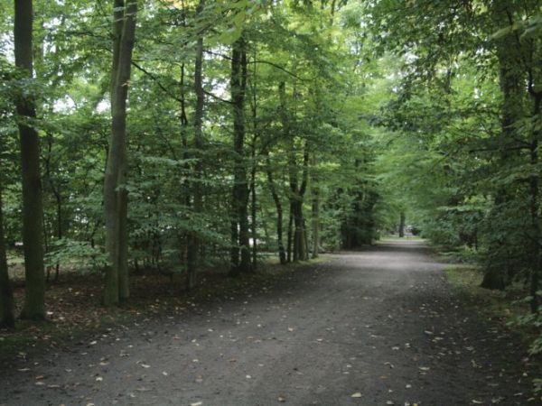 Od strony zachodniej ogród opiera sie o wielki kanał zaprojektowany w kształcie węgielnicy.