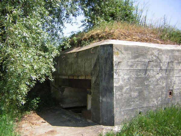 zdjecie Sulechów