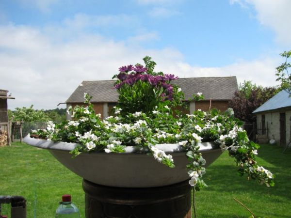 zdjecie Polubicze Wiejskie Pierwsze