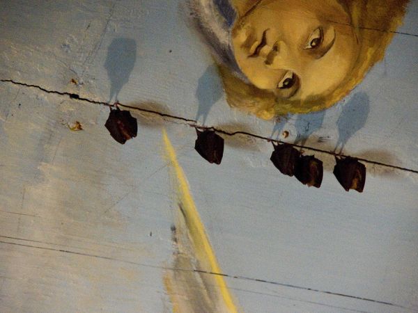 Blechnarka Cerkiew św. Kosmy i Damiana, śpiące nietoperze pod sufitem przedsionka cerkwi