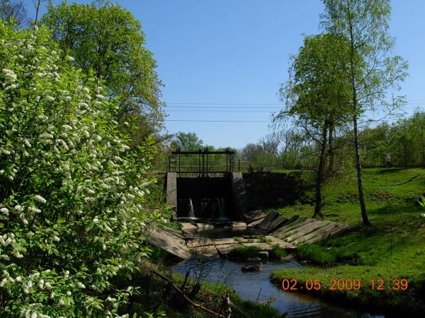 Tama na rzece Struga Młyńska