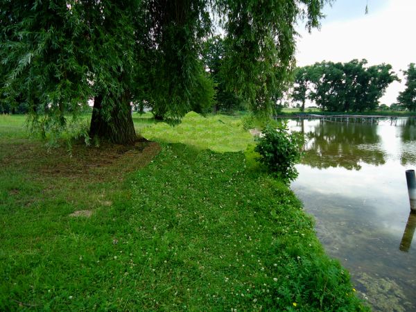 Nad jeziorem w parku.