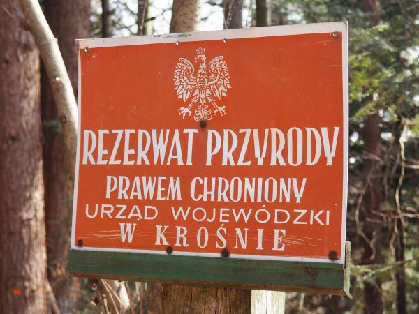 z przebiegu szlaku niebieskiego - "spływają" przesieki leśne, ścieżki myśliwskie, dukty, ścieżki wydeptane przez zwierzynę - toteż łatwo tu zabłądzić, gdyż czas
