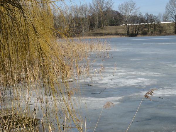 Łopienno, zima, jezioro