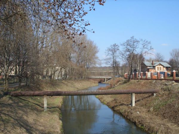 zdjecie Sosnowiec