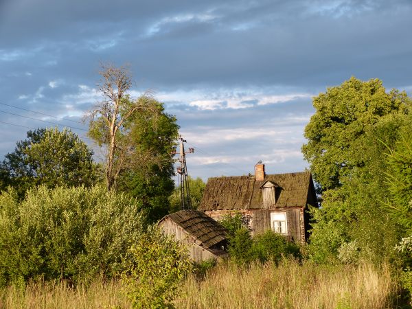 zdjecie Białowieża