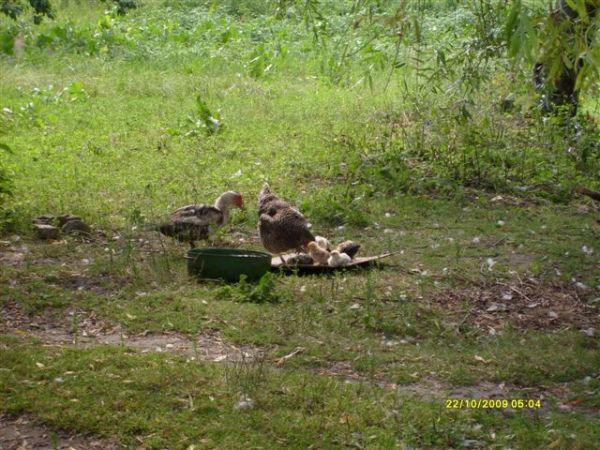 To moje ukochane miejsce na ziemi. Pozdrawiam rodzine ktora obok tych miejsc mieszka. Data jest zla na zdjeciach. To byl lipiec 2010.