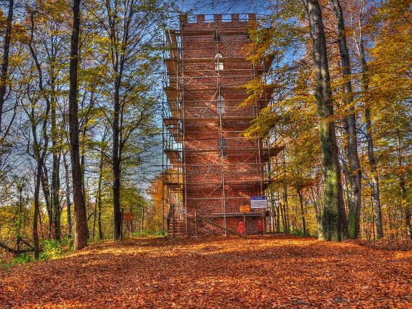 zdjecie Wodzisław Śląski