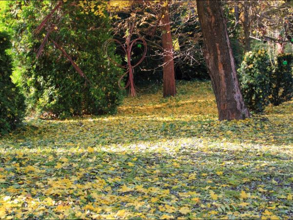 Arboretum w Bolestraszycach - jesienią.