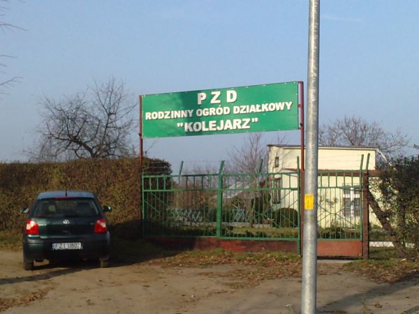 zdjecie Sulechów