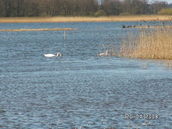 zdjecie Gardna Wielka