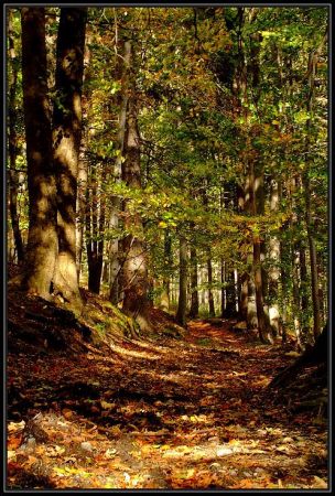 Zejście z Biskupiej Kopy.