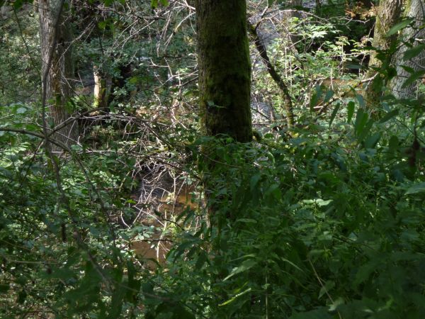 Rezerwat "CZARTOWE POLE"    Znaki-czerwone a w rezerwacie niebieskie. 15 km od SUŚCA