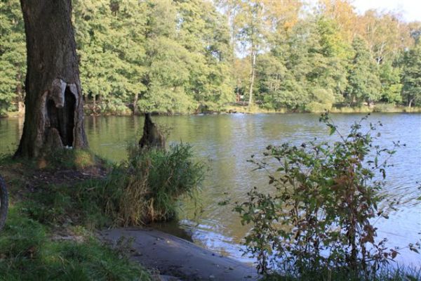 J. Trzesiecko / Szczecinek