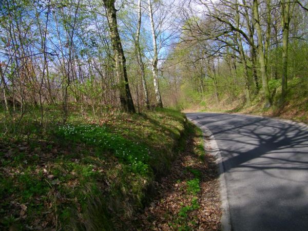 podjazd zjazd do miasteczka