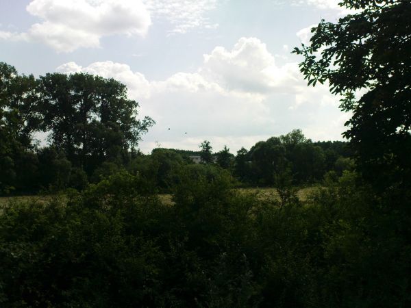 Widok na Fermę zwierząt futerkowych w Kraczkach.