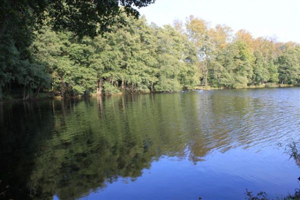 J. Trzesiecko / Szczecinek