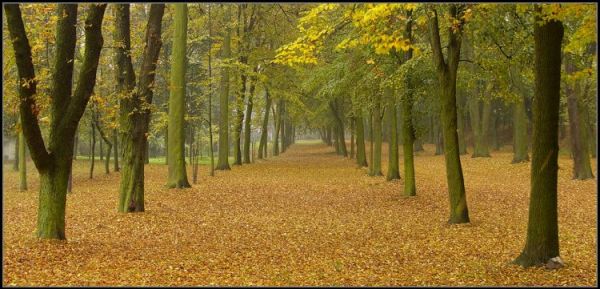 Park