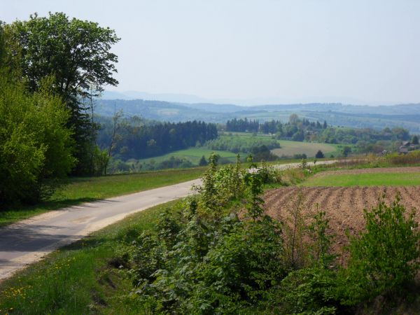 zdjecie Kąty Luteckie
