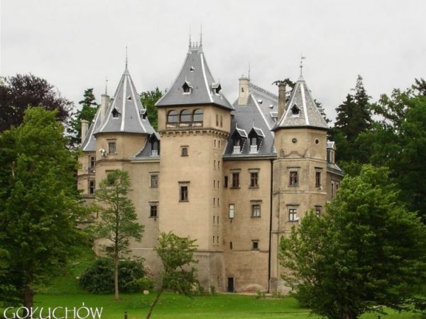 Zamek z XVI wieku byl   siedziba rodu Leszczynskich ktorzy  w XVII w. sprzedali go Sluszkom, a w XIX w. zamek kupl  wlasciciel Kornika - Tytus Dzialynski. Do sw