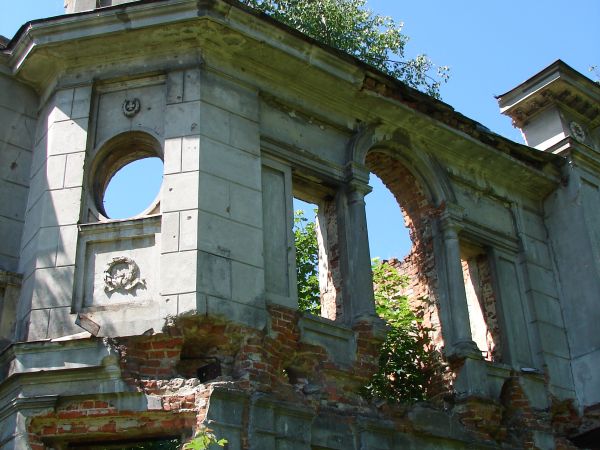 Ruiny pałacu Karskich 2011