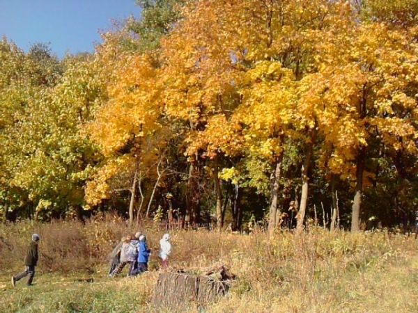 zdjecie Miękisz Stary