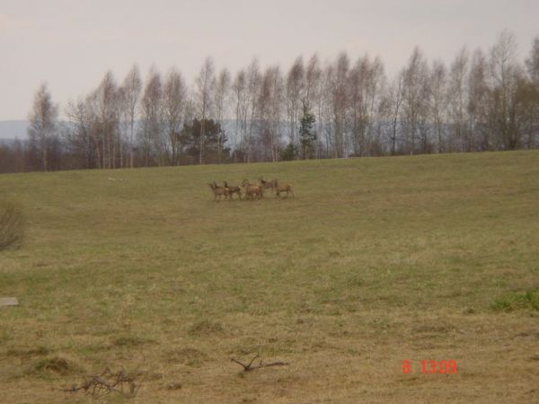 zdjecie Bereżnica Wyżna