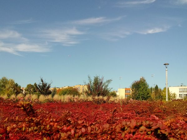 Osiedle bohaterskiego Dywizjonu 303 który walczył w Anglii.