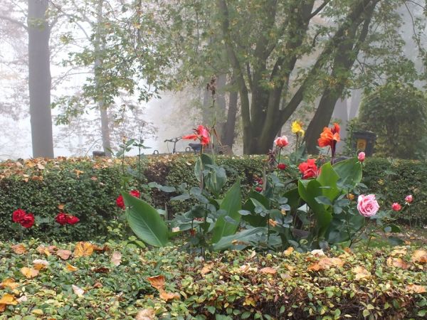 Klomby kwitnących kwiatów wokół zamku.