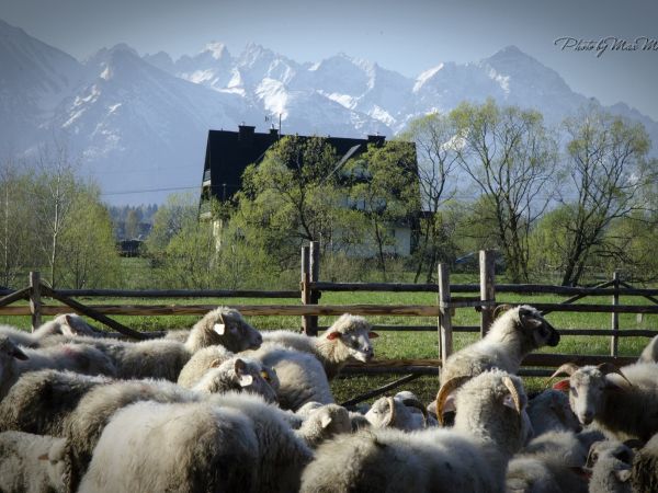 Polecam spacery po okolicy