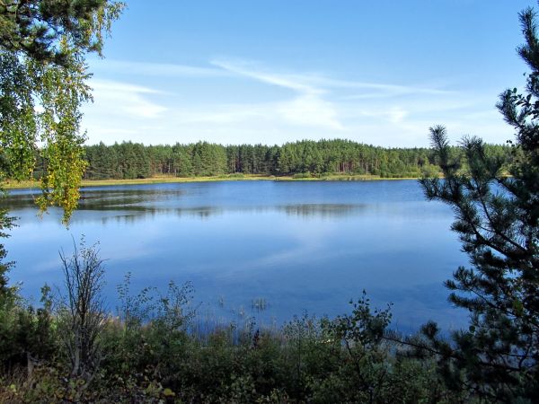Jezioro Szarmachy w Lubikach