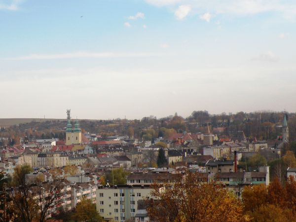 Widok miasta z Góry Szubienicznej