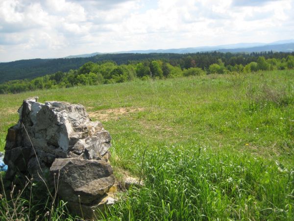 głaz - do niedawna - z tablicą poświęconą powieściopisarzowi Zygmuntowi Kaczkowskiemu, właścicielowi wioski w poł. XIX wieku.
