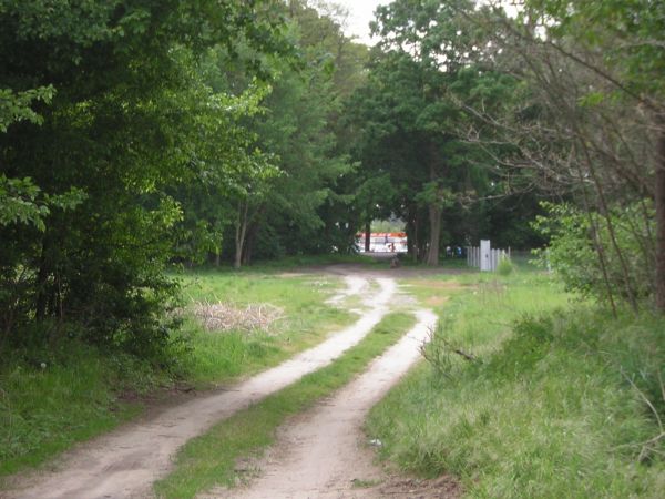 zdjecie Sulechów