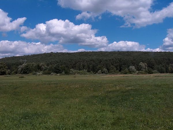 Widok na Górę Bolmińską