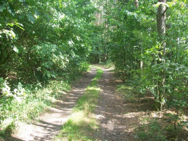 zdjecie Wólka Kątna